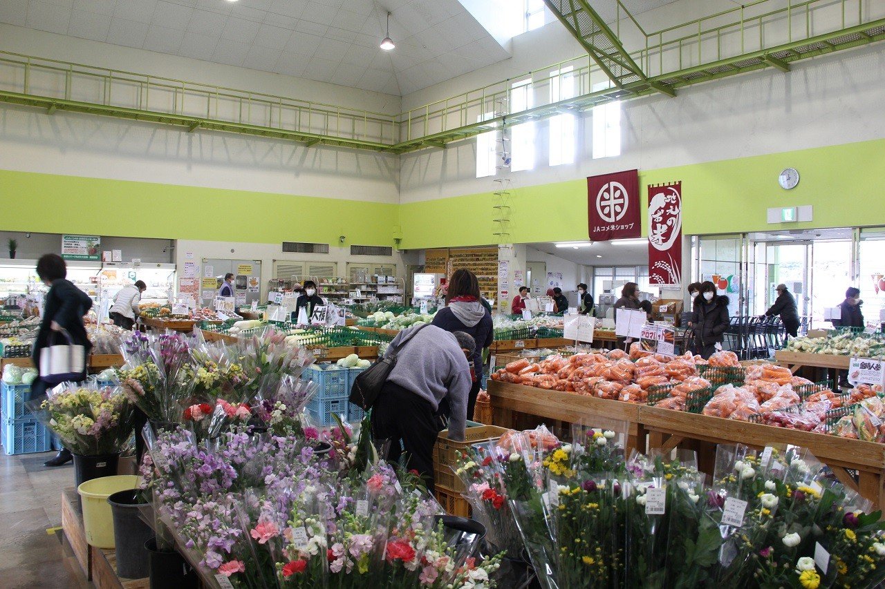 🥕 헤키난시 농업활성화센터 아오이파크